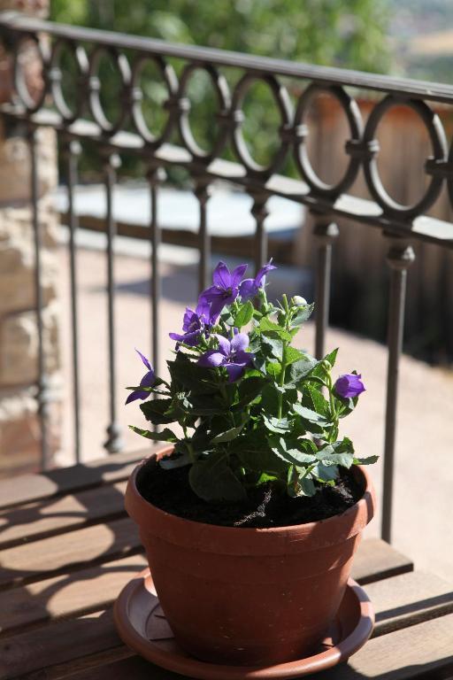 B&B Lavanda E Rosmarino Ассизи Экстерьер фото